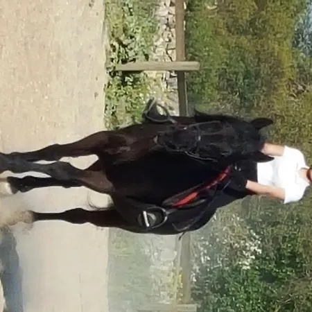 La Grave לינה וארוחת בוקר 3*