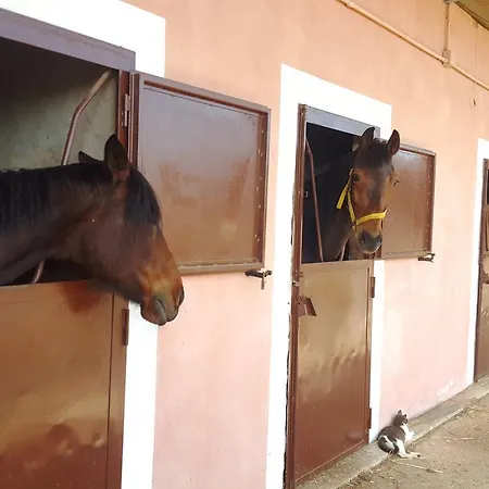 Bed & Breakfast La Grave 3*