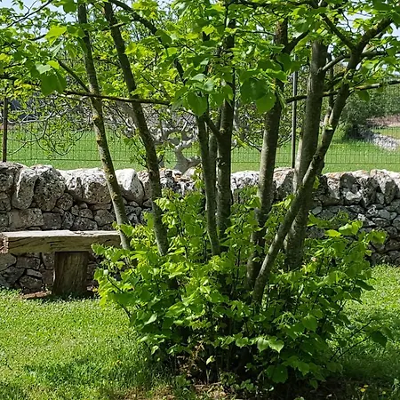 Bed & Breakfast La Grave 3*